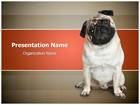 companies that use pug template companies that use pug template