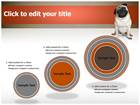 example pug template example pug template