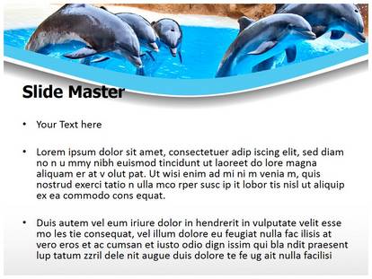 Dolphin Free Ppt Template Slide1