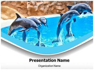 Dolphin Editable PowerPoint Template