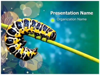 Butterfly Larvae Editable PowerPoint Template