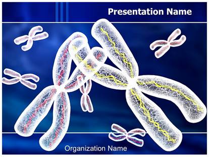 Free Chromosomes Structure Medical Medical Powerpoint Template For Medical Powerpoint Presentations