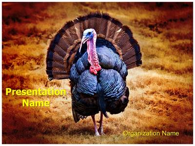 Turkey Editable PowerPoint Template