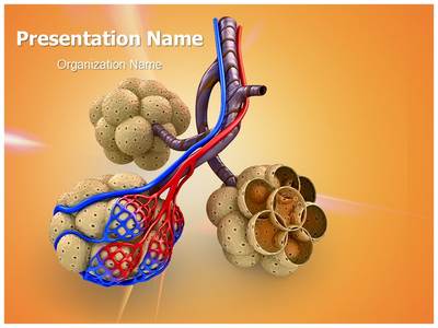 Alveoli in Lungs Editable PowerPoint Template