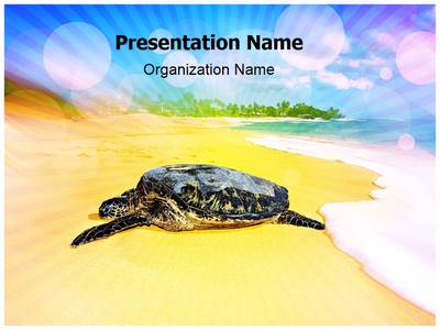 Turtle Beach Editable PowerPoint Template