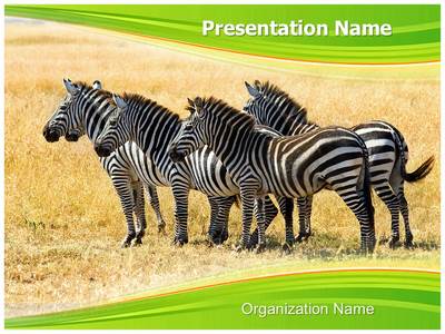 Equus Quagga Editable PowerPoint Template