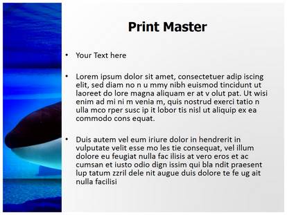 Killer Whale Free Ppt Template Slide1