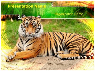 Bengal Tiger Editable PowerPoint Template
