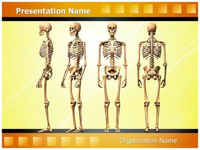 Human Skeleton Editable PowerPoint Template