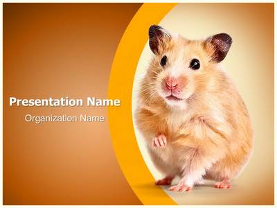 Hamster Editable PowerPoint Template
