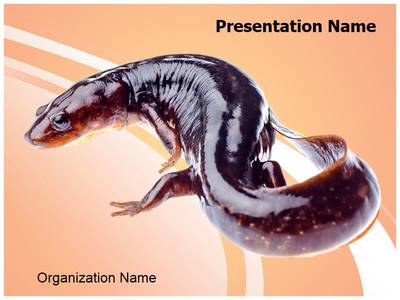 Amphibian Editable PowerPoint Template