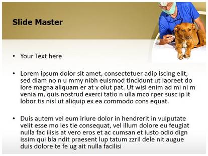 Download 81 Background Ppt Veterinary HD Paling Keren