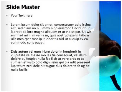 Orca Free Ppt Template Slide1