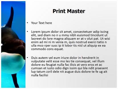 Orca Free Ppt Template Slide1