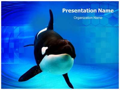 Orca Editable PowerPoint Template