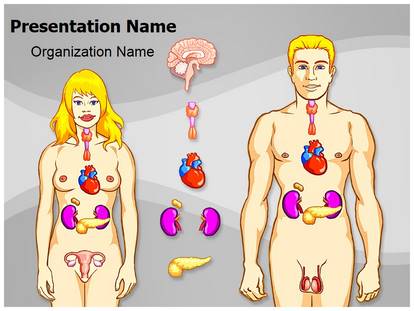 Free Human Endocrine System Medical PowerPoint Template for Medical PowerPoint Presentations Free Human Endocrine System Medical PowerPoint Template for Medical PowerPoint Presentations