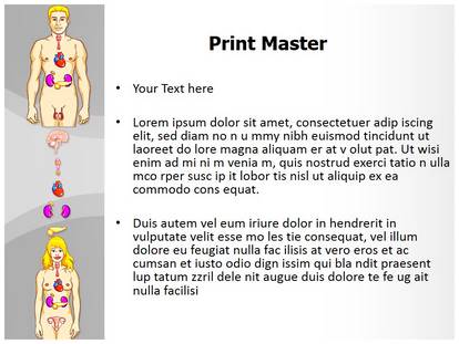 Free Human Endocrine System Medical Powerpoint Template For Medical Powerpoint Presentations