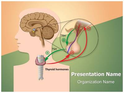 Negative Thyroid Response Editable PowerPoint Template