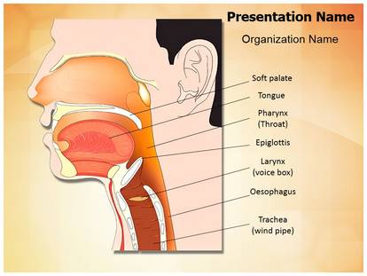 Free Nose Mouth And Throat Medical Powerpoint Template For Medical Powerpoint Presentations
