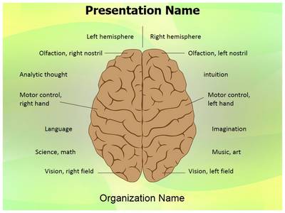 System Nervous Lateralization Editable PowerPoint Template