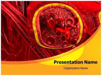 Blood Arteries And Veins Editable PowerPoint Template