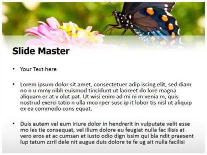 Butterfly Nectar Free Ppt Template Slide1