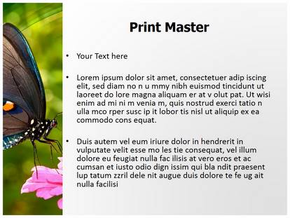 Butterfly Nectar Free Ppt Template Slide1
