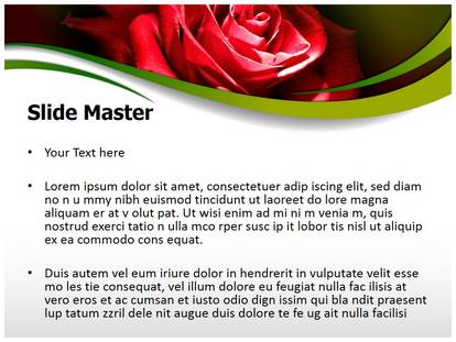 Red Rose In Dark Free Ppt Template Slide1