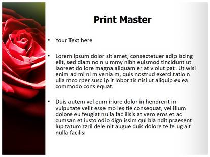Red Rose In Dark Free Ppt Template Slide1