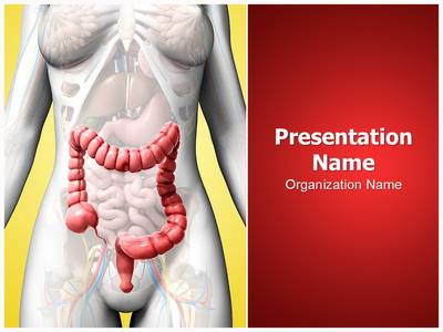 Dysentery Editable PowerPoint Template