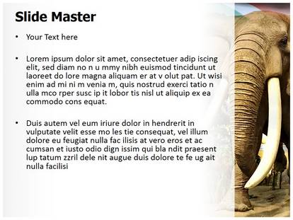 African Elephant Free Ppt Template Slide1