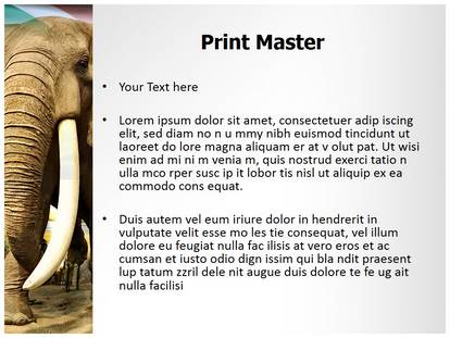 African Elephant Free Ppt Template Slide1