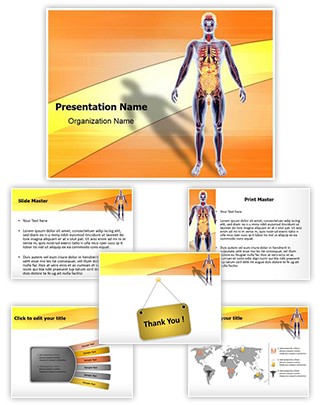 Organ System