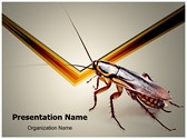 Cockroach Editable PowerPoint Template