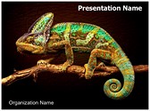 Chameleon Editable PowerPoint Template