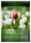 Tulip Editable Template
