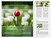 Tulip Editable PowerPoint Template