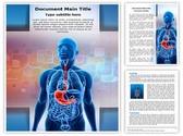 human stomach Editable PowerPoint Template