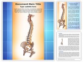 Human spinal Template