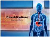 Human Stomach Editable PowerPoint Template