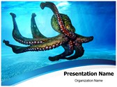 Octopus Editable Template