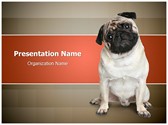 Pug Puppy Editable PowerPoint Template