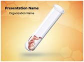 Test Tube Baby Editable PowerPoint Template