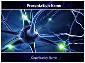 Neurology Template