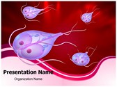 Giardia PowerPoint Templates