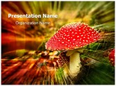 Amanita Poisonous Mushroom Template
