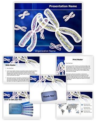 Chromosomes Structure Editable PowerPoint Template