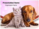 Kitten And Dog Editable PowerPoint Template