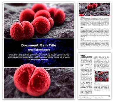 Meningococcus Editable Word Template