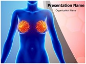 Mammary Glands Editable PowerPoint Template